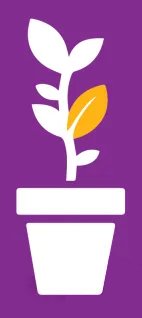 Icon of a plant in a pot on a purple background symbolizes the NOMU, a National Youth Development Initiative by AGF in UAE