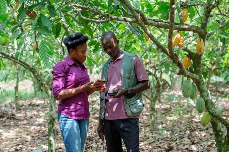 The Expo Live programme gave grants to companies like Ignitia in West Africa to produce reliable weather forecasts to small-scale farmers. Photo: Expo 2020 Dubai